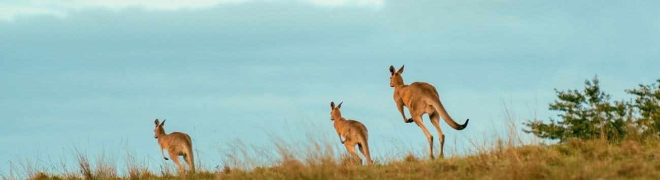 Australia